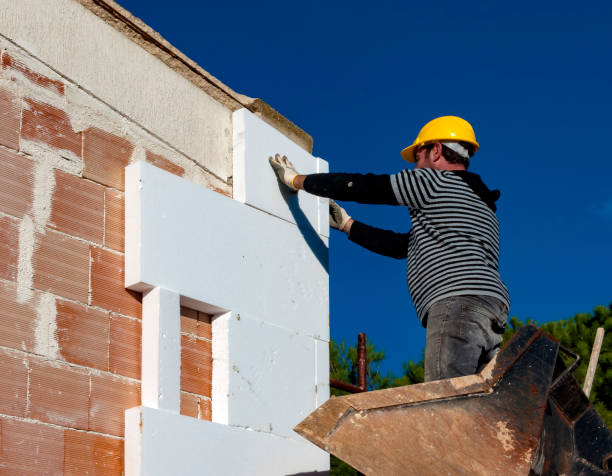 Best Best Insulation Companies  in Elizabeth City, NC